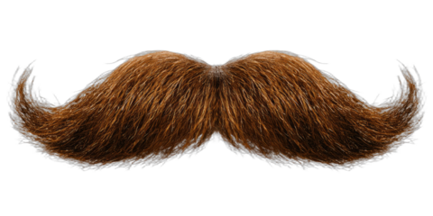 A fluffy brown mustache with curved ends on a black background