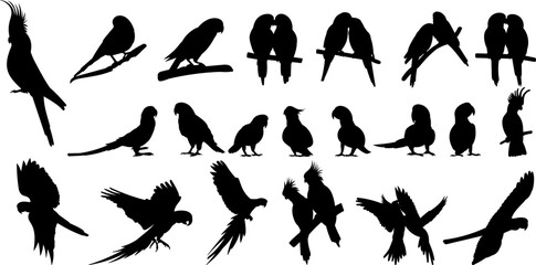 Parrot silhouette from different angles, vector set