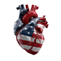 A realistic anatomical heart rendered with the colors and patterns of the American flag