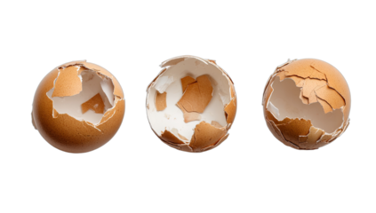 Three broken brown eggshells isolated against a black background
