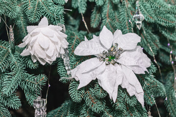 Glitter dusted poinsettia and floral ornaments nestled among deep green needles of Christmas tree. White fabric holiday flowers, poinsettia with silver jeweled center, decorating evergreen boughs