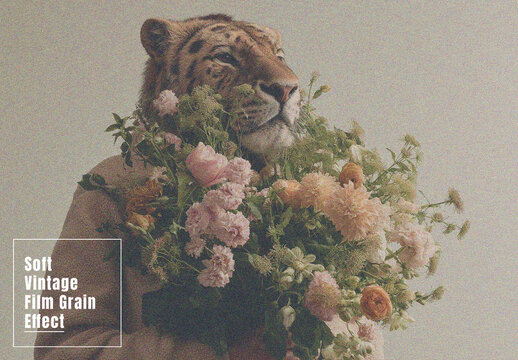 Soft Vintage Film Grain Photo Effect