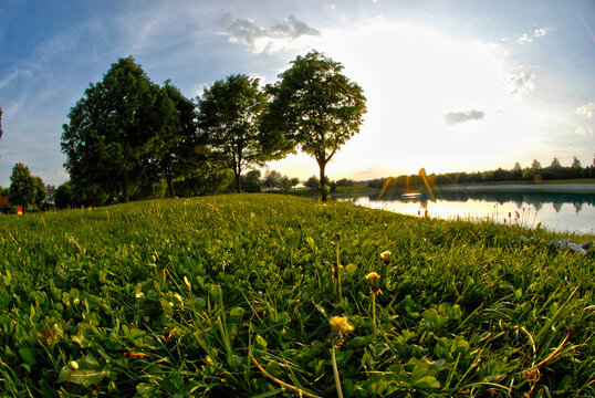 Sunlit lake and trees in Bavarian nature landscape Germany morning