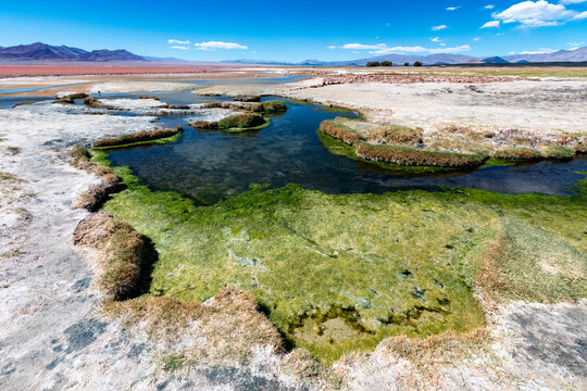 Scenic creek in El Penon Andes near salty flamingo lake Argentina