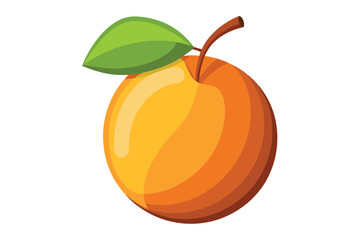 apricot on white background