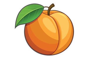 apricot on white background
