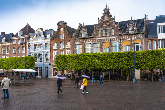 Haarlem, Netherlands - 06 May 2019: View of the Grote Markt's historic facades glisten under a soft rain, umbrellas dotting the square, framed by a vibrant line of manicured trees.
