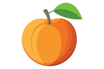 apricot on white background