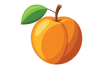 apricot on white background