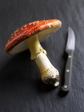 Fly agaric mushroom with knife on slate background