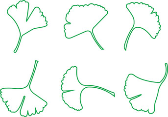 Green ginkgo biloba leaf icons Set in outline styles. Vectors graphic illustration depicting nature herbal medicine health Wellness botanical foliage elements collection minimalist designs.