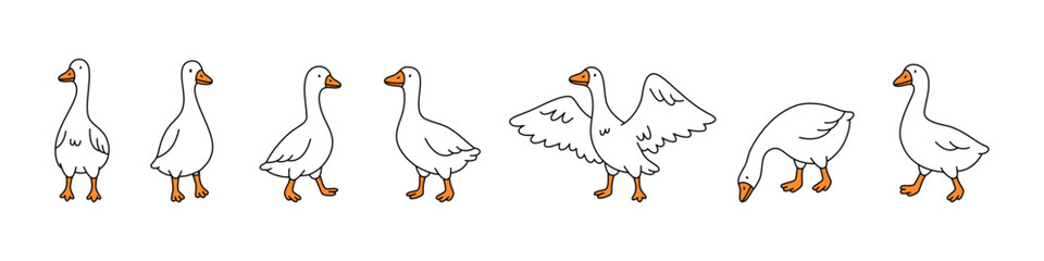 Set of minimalist cartoon geese in various poses. Outlined vector geese with flat orange accents © Lifeking