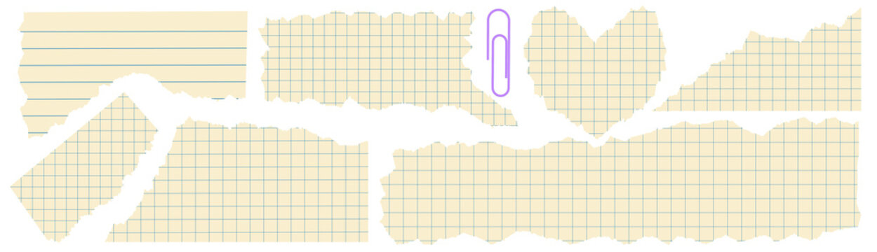 Torn Grid Notebook Paper Texture with Ripped Edges on Transparent Background. Set of so many different shapes and also include love and message shape collection. png