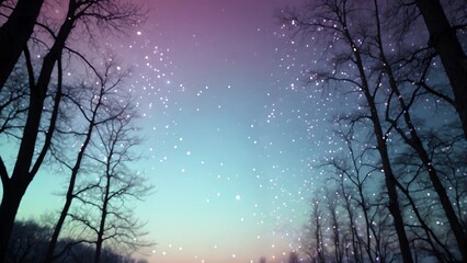 美しいマジックアワーの空とキラキラ星空とシルエットの並木道風景