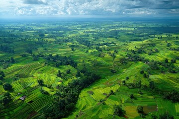 Obraz premium Verdant aerial view captures terraced fields sprawling across a sun-drenched, rolling landscape