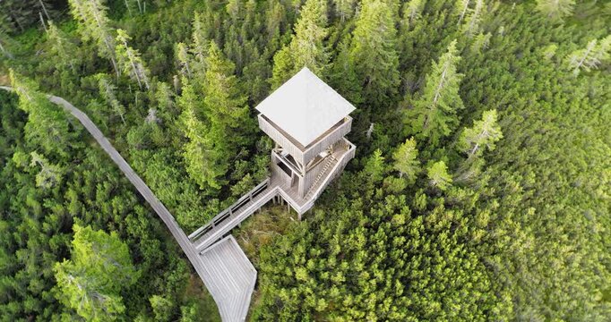 Aerial view of Lovrenc Lakes peat bog, Slovenia