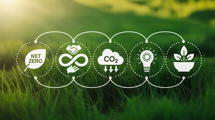 Achieving net zero emissions through sustainable innovation and a circular economy