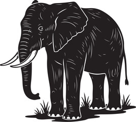 Obraz premium Ornate Mandala Elephant Line Art Illustration