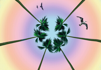 Tall palm trees and a sunbather on a white sand beach at sunset is the scene for a tropical vacation spot.