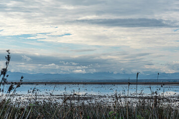 The Scenic views of Kızılırmak Delta Bird Sanctuary, which is a vast delta teeming with thousands of bird species and natural wildlife, offering a serene escape for nature lovers in Bafra, Samsun