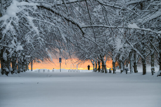 View of a snow-laden path flanked by trees, a solitary figure silhouetted against a fiery sunset, a serene winter scene, Parnu, Estonia.