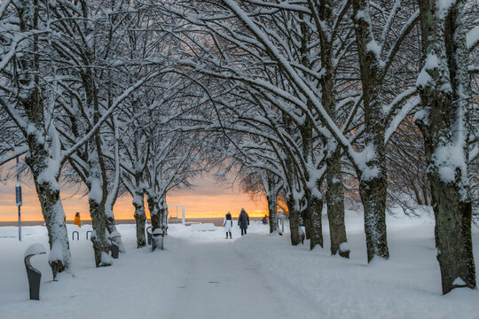 View of a snow-laden path framed by trees meeting at a distant golden horizon, creating a serene winter wonderland, Parnu, Estonia.