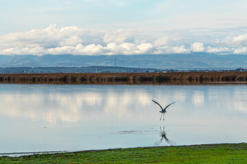 The Scenic views of Kızılırmak Delta Bird Sanctuary, which is a vast delta teeming with thousands of bird species and natural wildlife, offering a serene escape for nature lovers in Bafra, Samsun