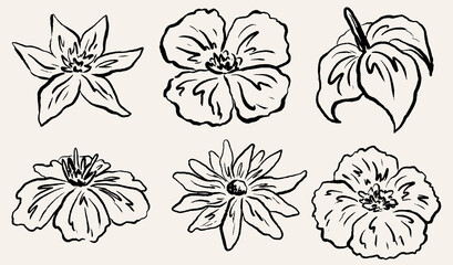 Hand drawn crayon minimal tattoo style flower set. Modern ink floral elements drawing. Abstract pencil, chalk plants. Brush branch, botanical floral silhouette vector illustration