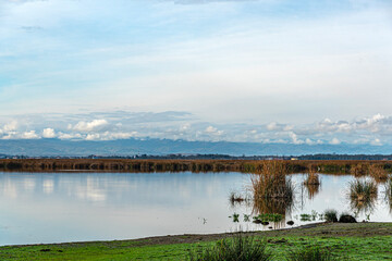 The Scenic views of Kızılırmak Delta Bird Sanctuary, which is a vast delta teeming with thousands of bird species and natural wildlife, offering a serene escape for nature lovers in Bafra, Samsun