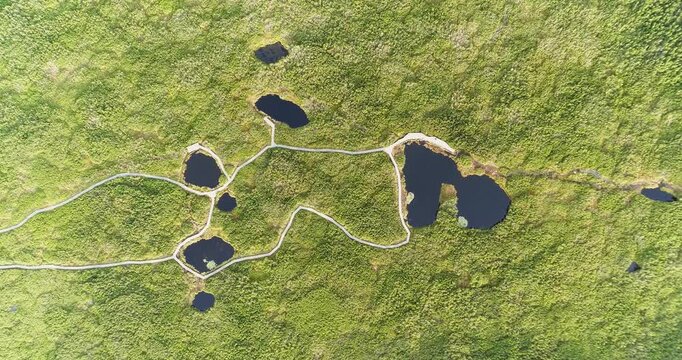 Aerial view of alpine peat bog lakes Lovrenc, Slovenia