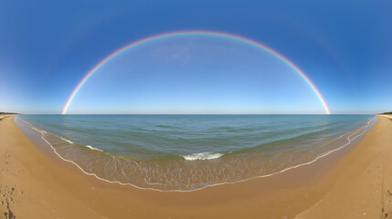 Beautiful Siamese cat in golden field under sunlight