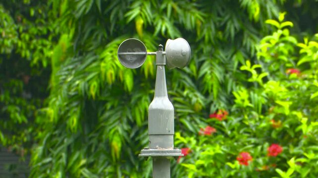 Wind Speed Sensor Installed in Natural Environment
