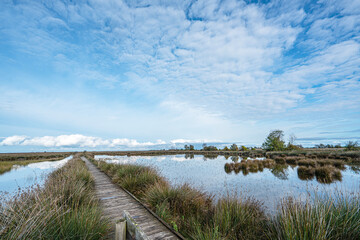 The Scenic views of Kızılırmak Delta Bird Sanctuary, which is a vast delta teeming with thousands of bird species and natural wildlife, offering a serene escape for nature lovers in Bafra, Samsun
