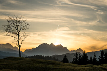 View of a stark tree silhouetted against the warm glow of the setting sun over the misty mountain range and green hills, Krun, Bavaria, Germany.