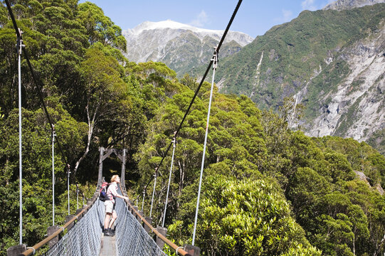 Woman hiking on swing bridge in lush Franz Josef Glacier Valley