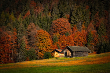 View of rustic wooden cabins nestled amidst the vibrant autumn foliage of deciduous trees on a grassy hillside, Geroldsee lake, Krun, Germany.