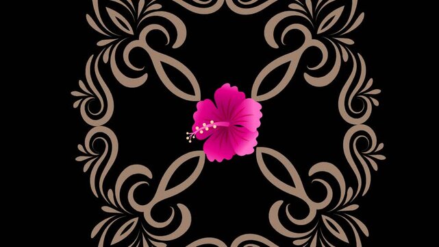 draw set of five pink lily flower enclose by golden frame in square shape on black screen background
