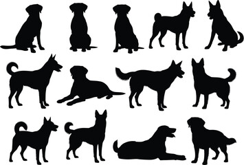 Fototapeta premium Collection of various dog breeds in different poses and silhouettes against a white background