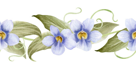 Exotic tropical vine with pastel purple Thunbergia flowers watercolor seamless border isolated on white. Garden violet spring liana with leaves repeat banner for summer blooming floral designs