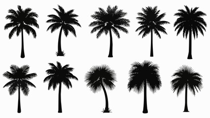 set of palm trees