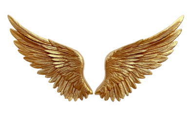 Golden Angel Wings Pair isolated on a transparent background