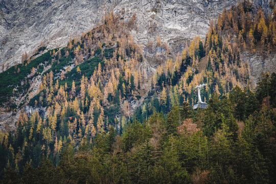 View of autumnal trees clinging to the mountainside under a cable car line, a tapestry of greens and golds against the rugged rock, Garmisch-Partenkirchen, Bavaria, Germany.