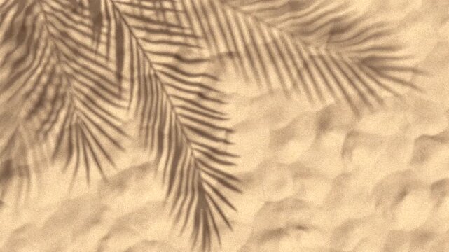 Animated background of palm tree leaves shadow on sand.