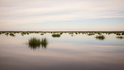 Peaceful wetland landscape with calm water and green vegetation at dusk