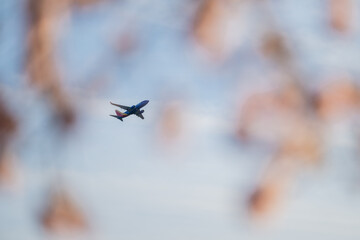 View of a plane ascends through a soft focus of blurred blossoms against the pastel sky, capturing a moment of serene flight, Washington, D.C., USA.