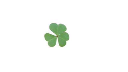 Vibrant Green Three-Leaf Clover Symbolizing Luck, Nature, and St. Patrick's Day on transparent Background