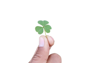 Vibrant Green Three-Leaf Clover Symbolizing Luck, Nature, and St. Patrick's Day on transparent Background