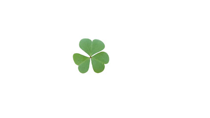 Vibrant Green Three-Leaf Clover Symbolizing Luck, Nature, and St. Patrick's Day on transparent Background