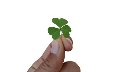 Vibrant Green Three-Leaf Clover Symbolizing Luck, Nature, and St. Patrick's Day on transparent Background