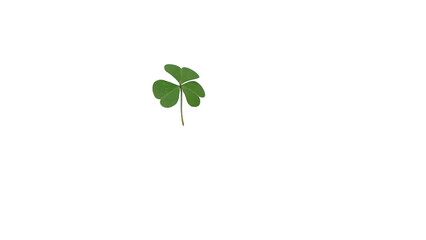 Vibrant Green Three-Leaf Clover Symbolizing Luck, Nature, and St. Patrick's Day on transparent Background